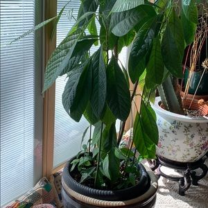 Meet your Posher, Yu-ling